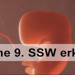 9. Woche