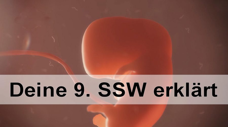 9 Ssw Fühle Mich Nicht Mehr Schwanger Dein Schwangerschaftskalender ⋆ Einfach mehr wissen