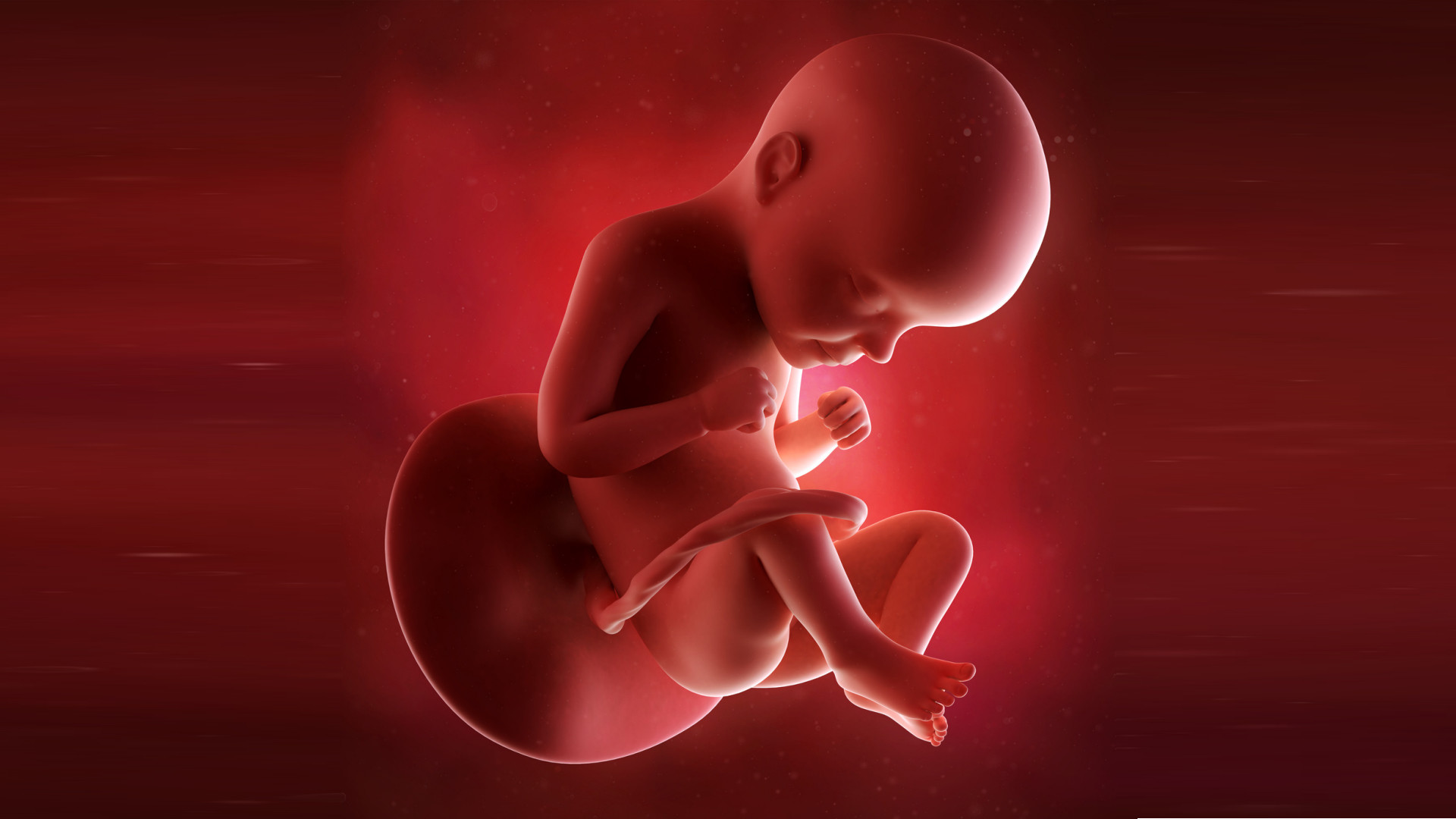 29 schwanger werden mit Kinderwunsch Kongress